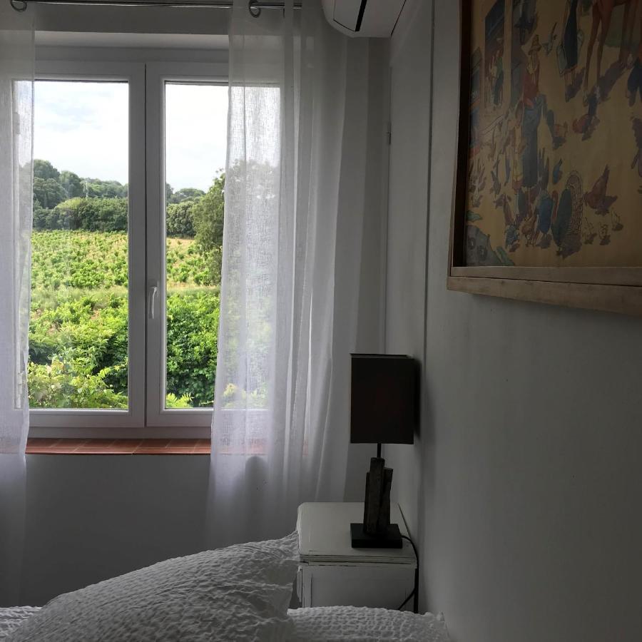 Chambres D'Hotes Et Gites Le Mas Mellou 오랑주 외부 사진